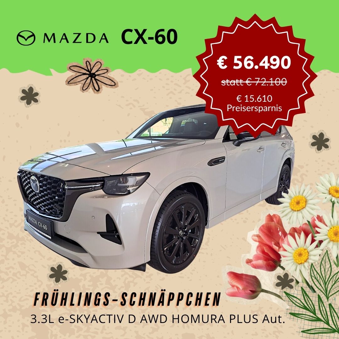 Auto mit Blumen und Preisschild