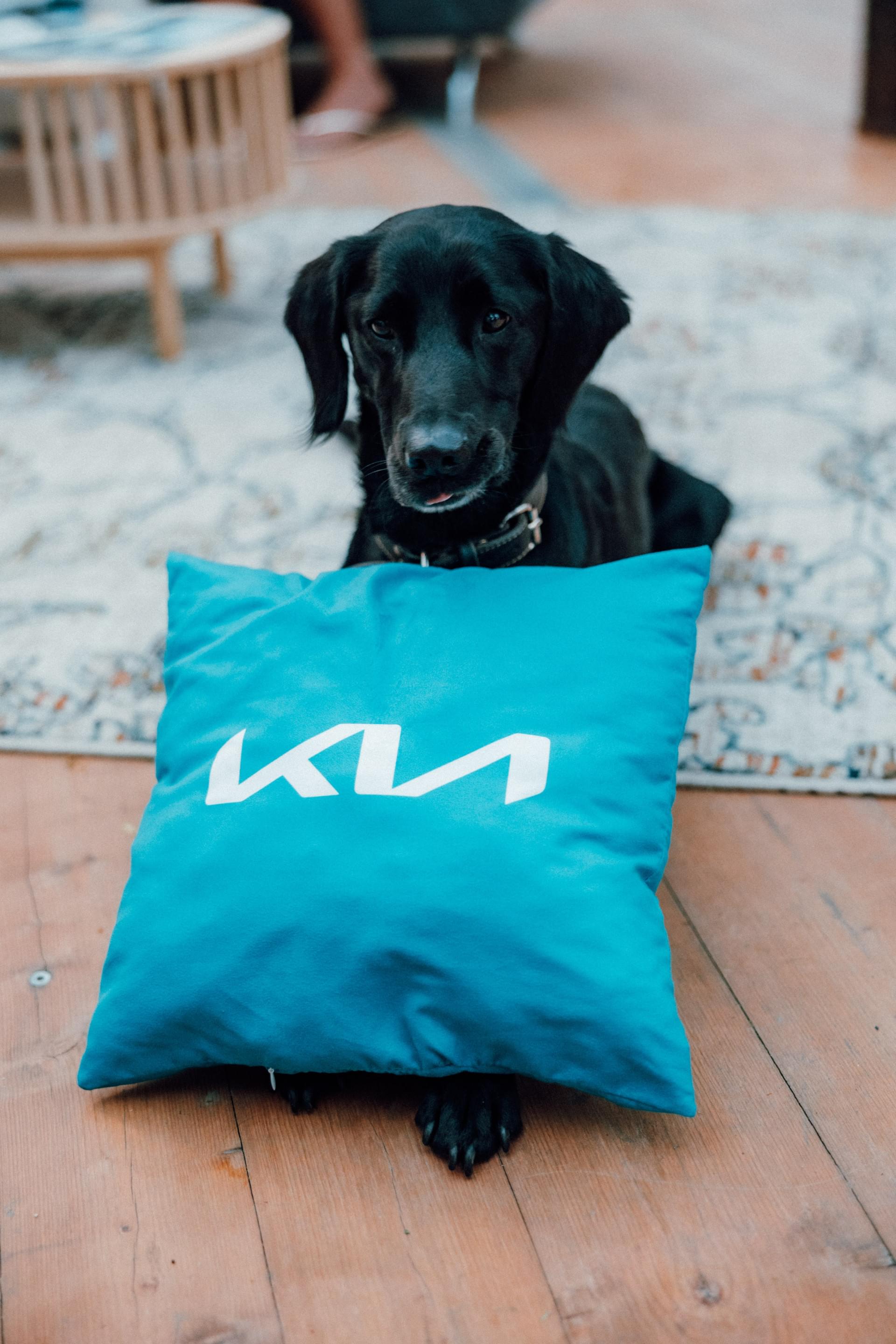 KIA Michael-Meindl 2025-05-03 0038